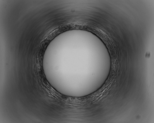 X0000100920774200806241112