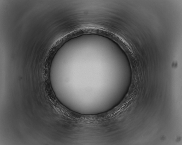 X0000100920775200806241112