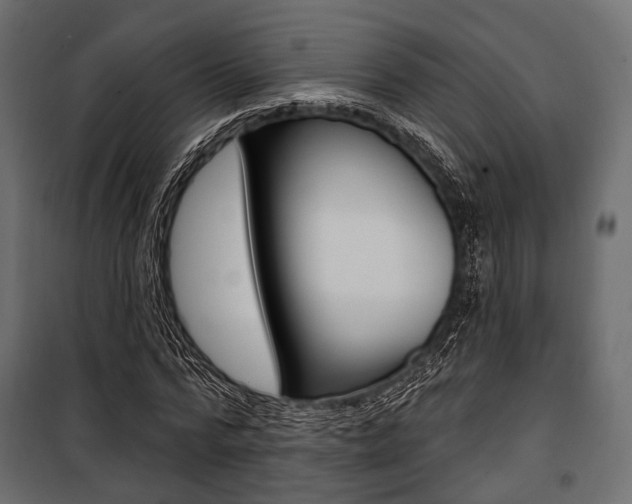 X0000100920776200806241112