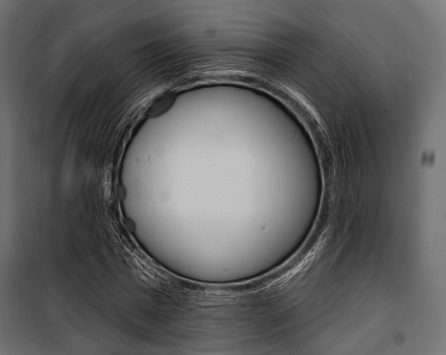 X0000100920777200806241112