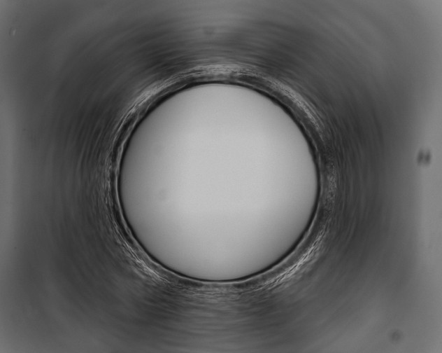X0000100920778200806241112