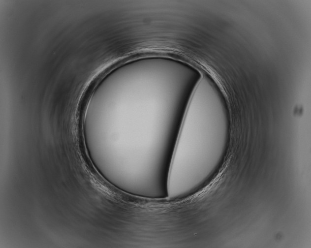 X0000100920779200806241112