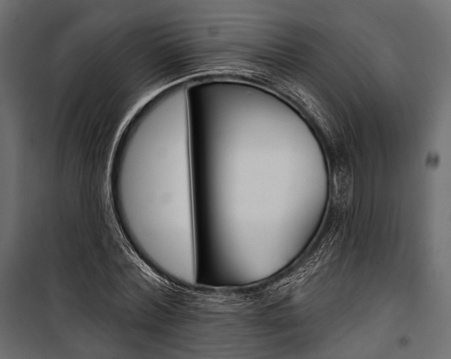 X0000100920780200806241112