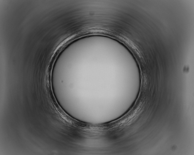 X0000100920782200806241112