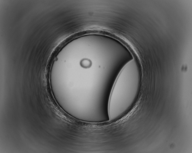 X0000100920783200806241112