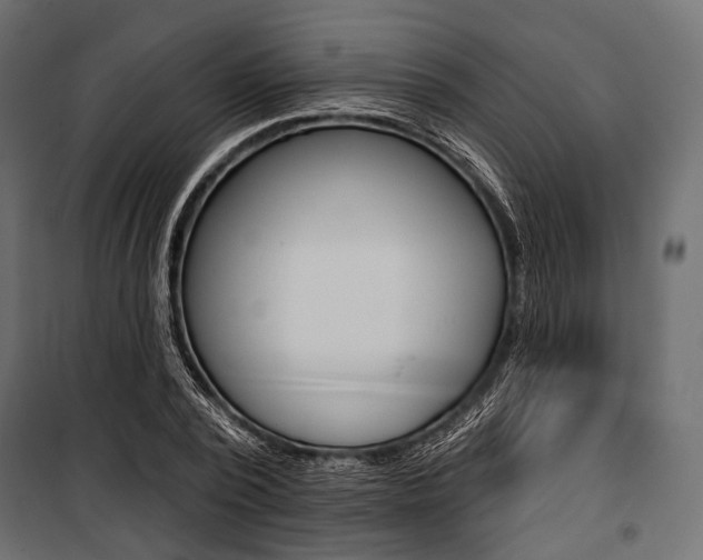 X0000100920784200806241112