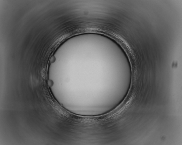 X0000100920785200806241112