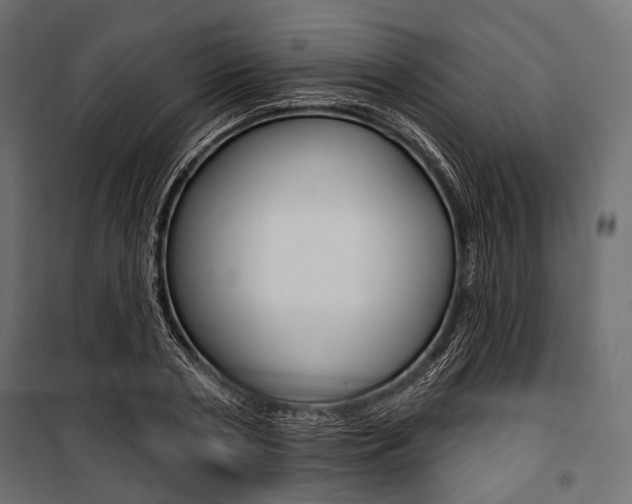 X0000100920786200806241112