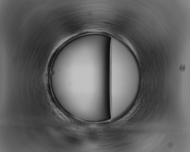 X0000100920787200806241112