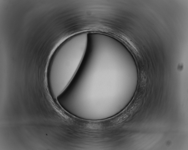 X0000100920788200806241112