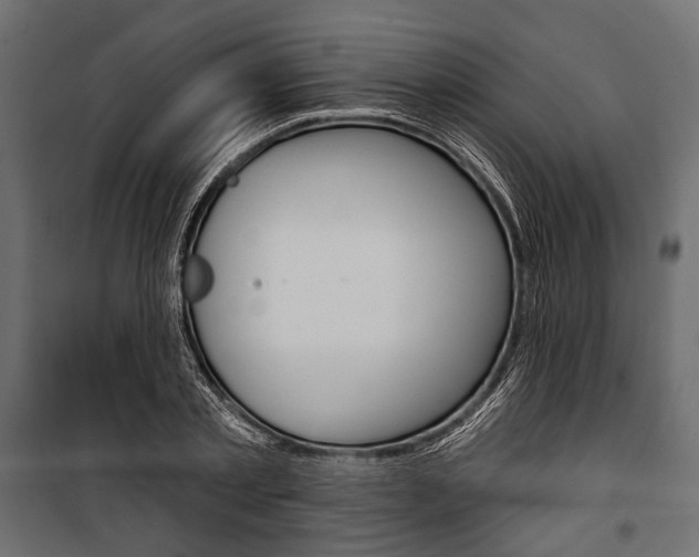 X0000100920789200806241112