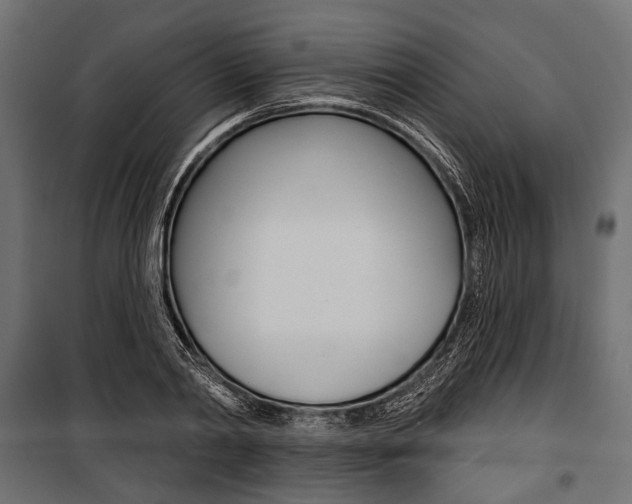 X0000100920790200806241112