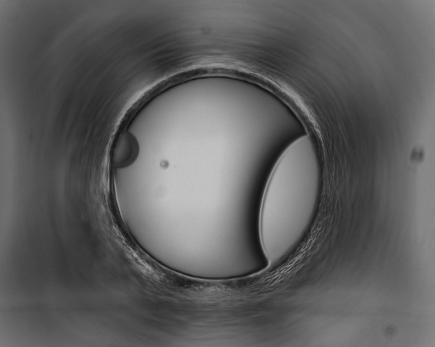 X0000100920791200806241112
