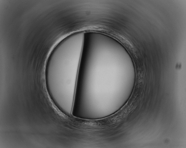 X0000100920792200806241112
