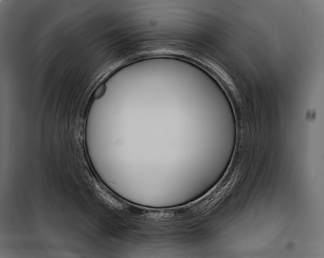 X0000100920793200806241112