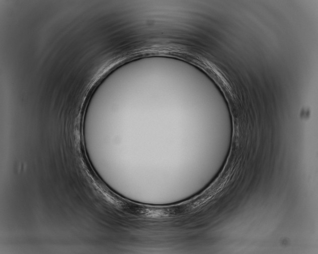 X0000100920794200806241112