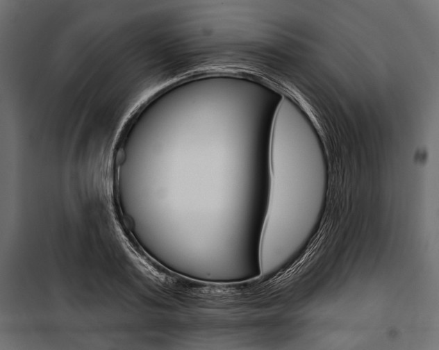 X0000100920795200806241112