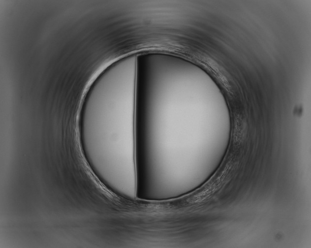 X0000100920796200806241112