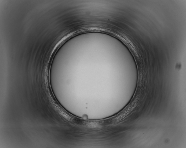 X0000100920798200806241112