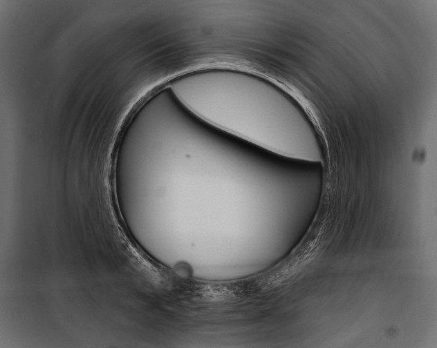 X0000100920799200806241112