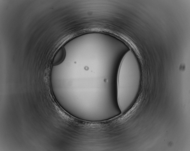 X0000100920801200806241112