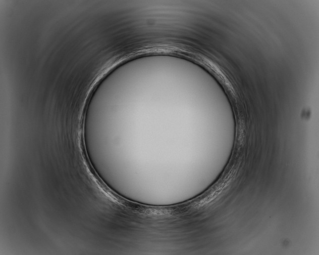 X0000100920802200806241112