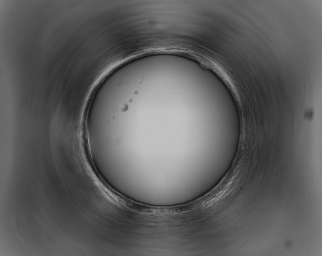 X0000100920803200806241112