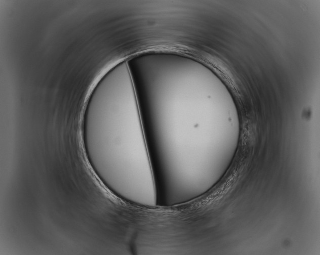 X0000100920804200806241112