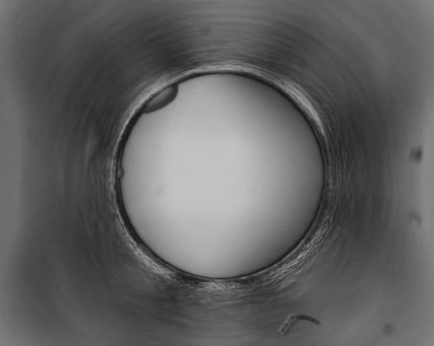 X0000100920805200806241112