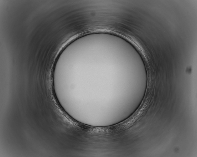 X0000100920806200806241112