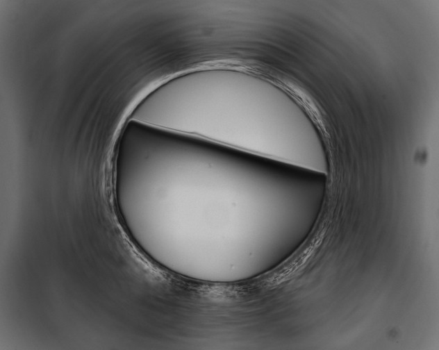X0000100920808200806241112