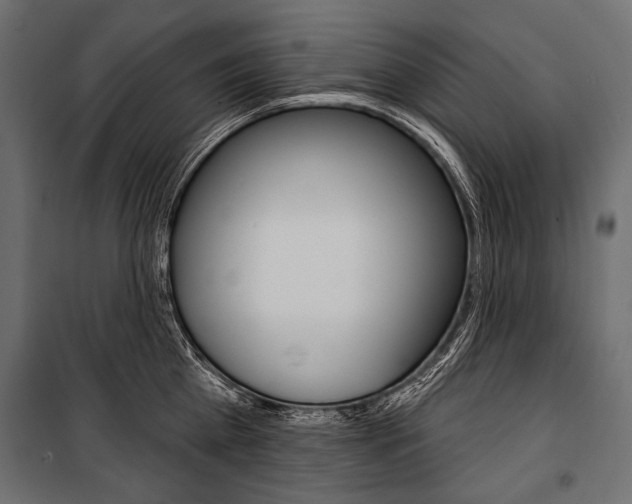 X0000100920809200806241112