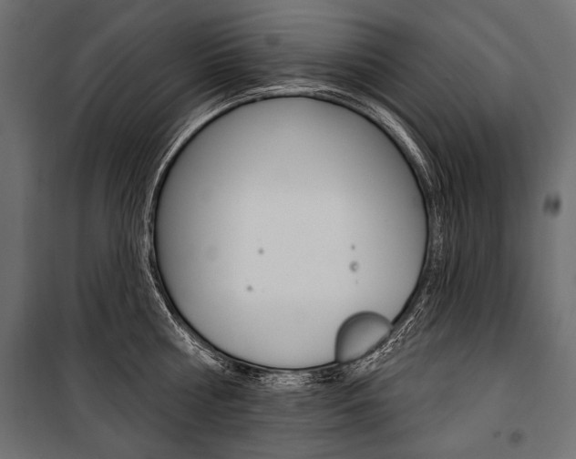 X0000100920810200806241112