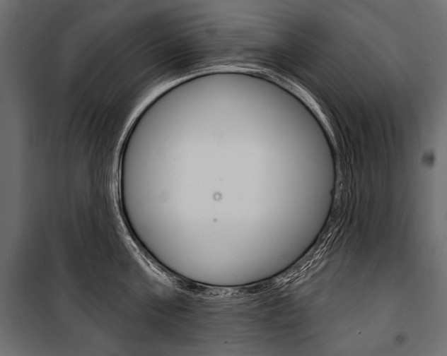 X0000100920811200806241112