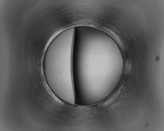 X0000100920812200806241112
