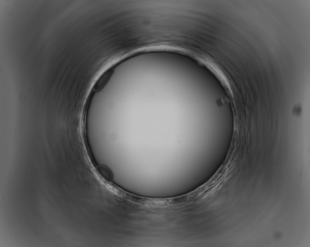 X0000100920813200806241112