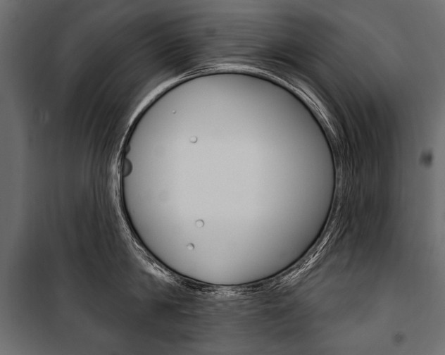 X0000100920814200806241112