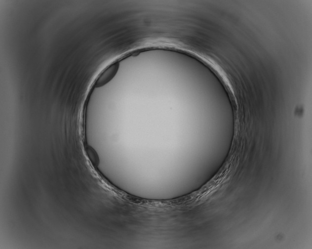 X0000100920815200806241111