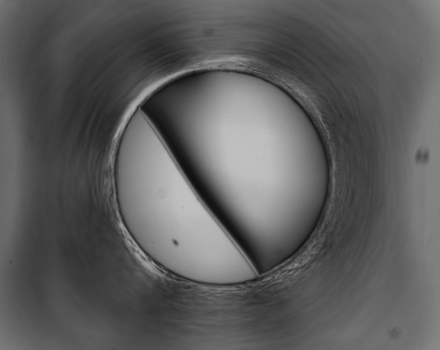 X0000100920816200806241111