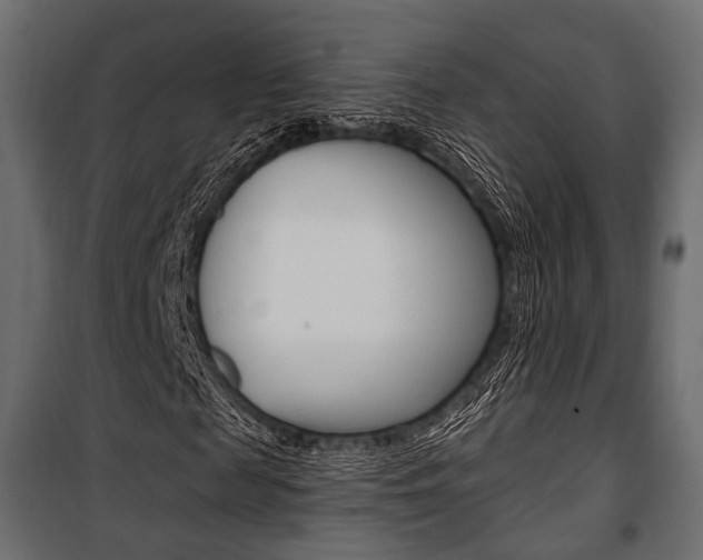 X0000100920817200806241111