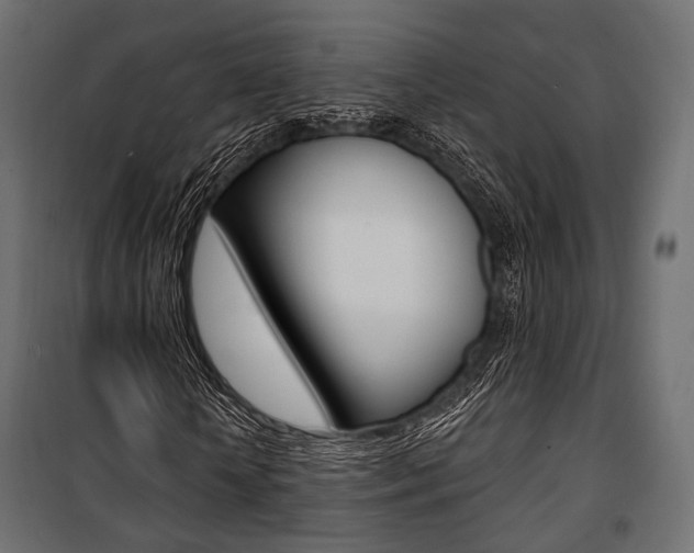 X0000100920818200806241111