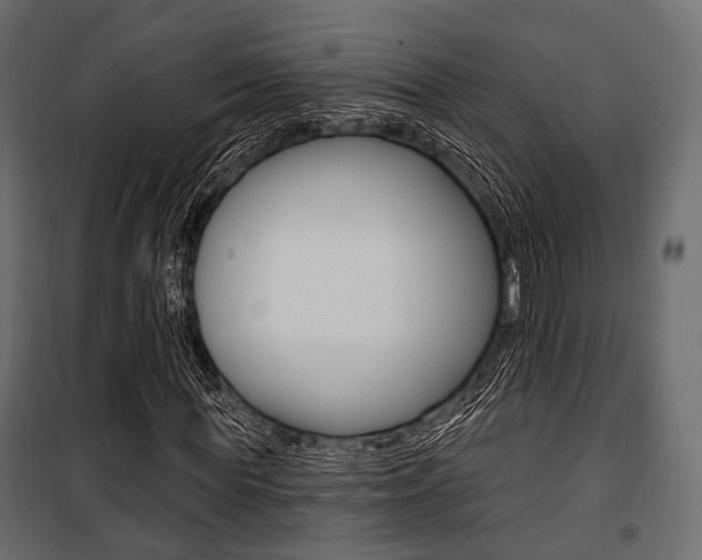 X0000100920819200806241111
