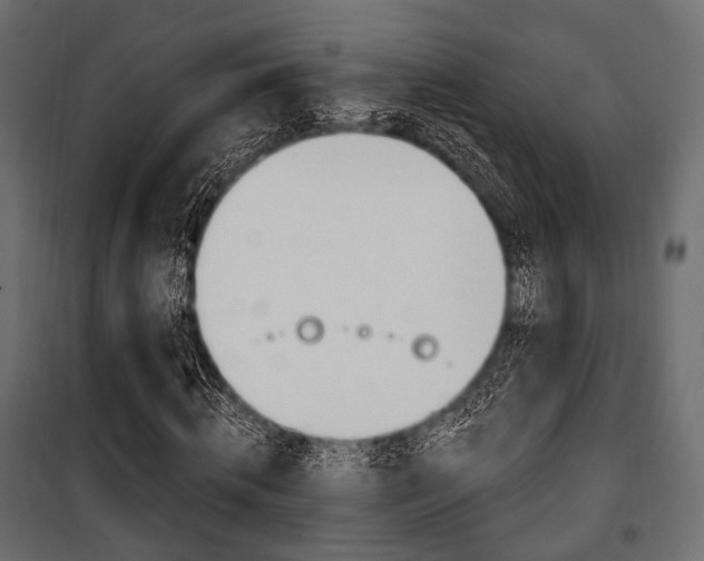 X0000100920820200806241111