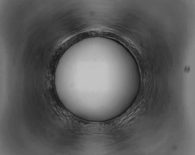 X0000100920822200806241111