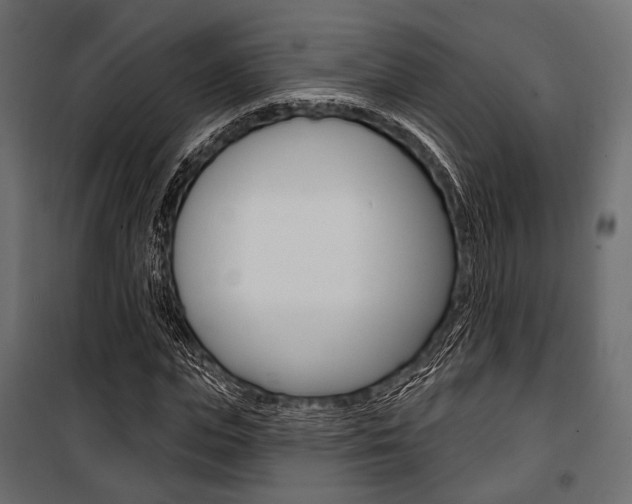 X0000100920823200806241111