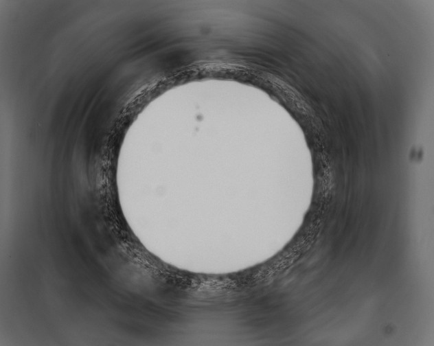 X0000100920824200806241111