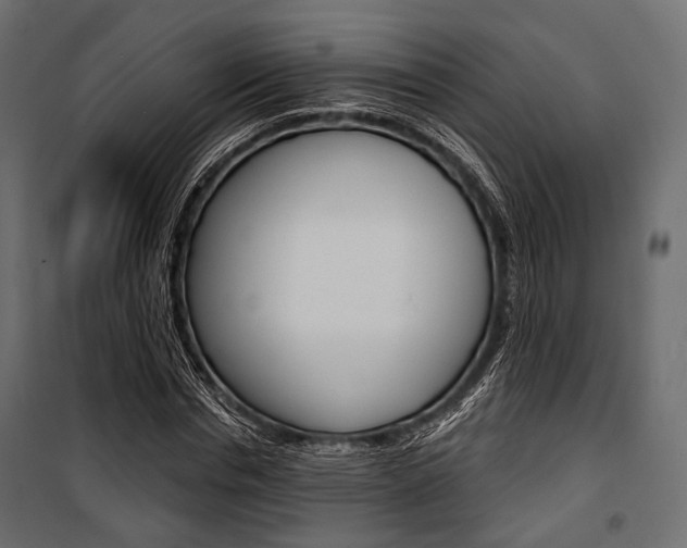X0000100920826200806241111
