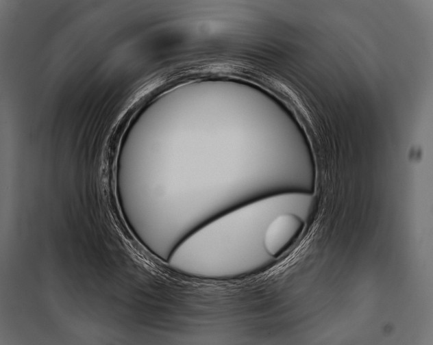 X0000100920827200806241111