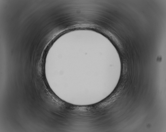 X0000100920828200806241111