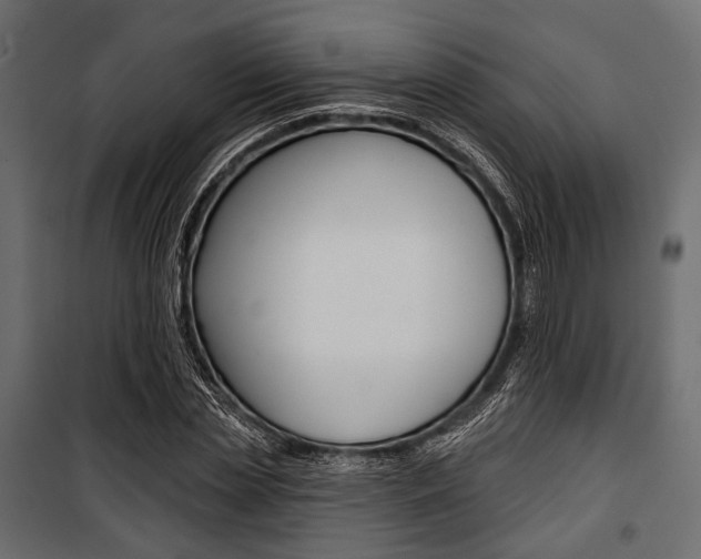 X0000100920829200806241111